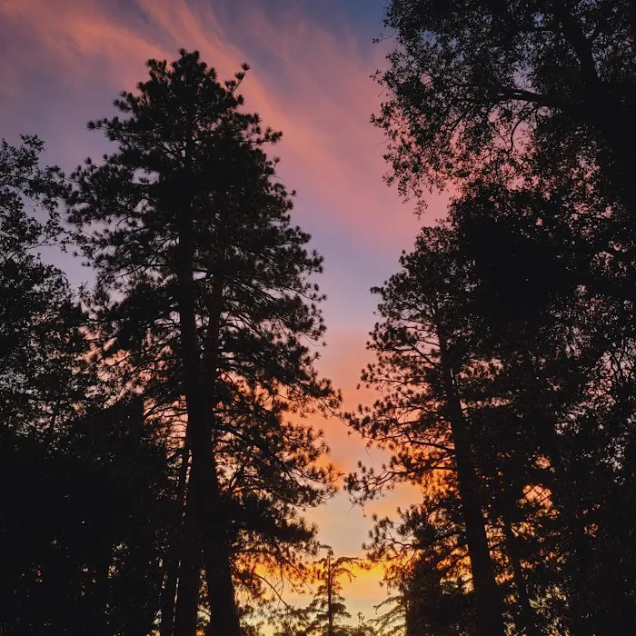 Fern Basin Campground Picture 9