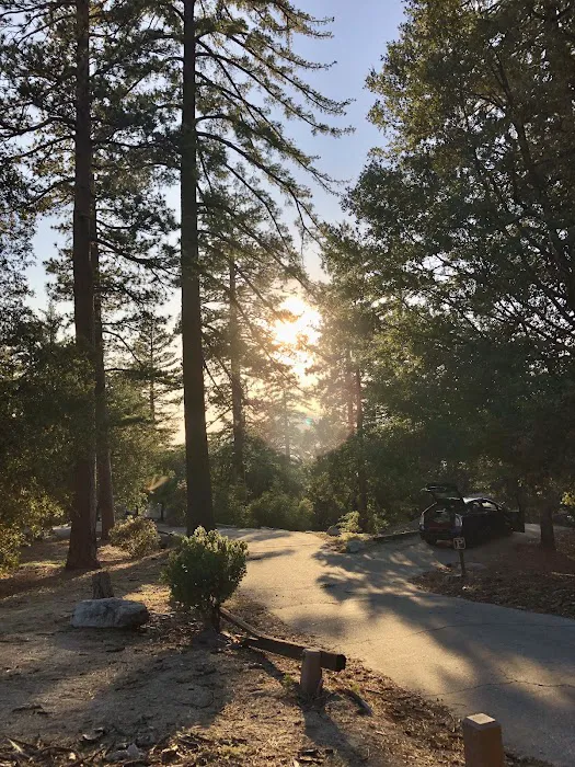 Fern Basin Campground Picture 5