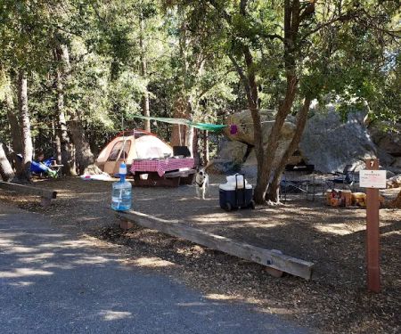 Fern Basin Campground