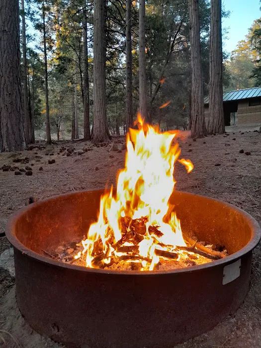 Fern Basin Campground Picture 3