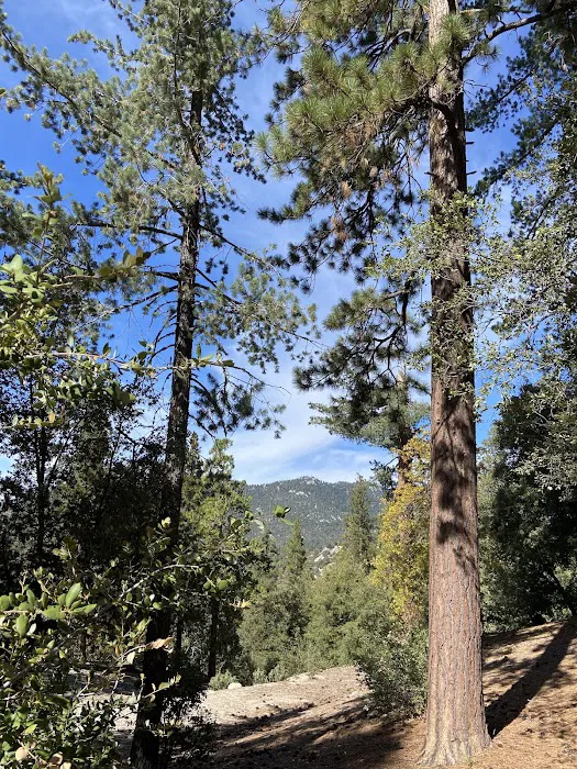 Fern Basin Campground Picture 6