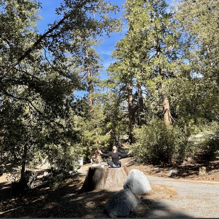 Fern Basin Campground Picture 4