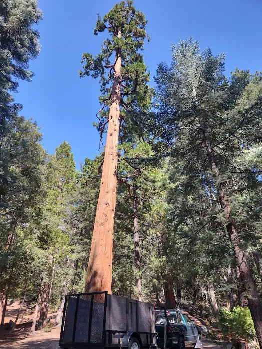 Fern Basin Campground Picture 10