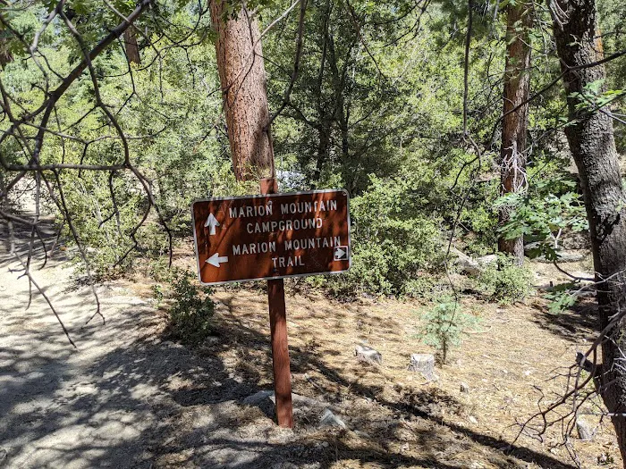 Marion Mountain Campground Picture 9