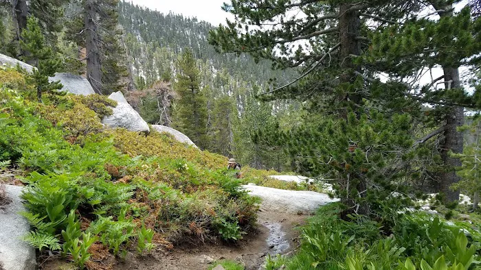 Marion Mountain Campground Picture 4