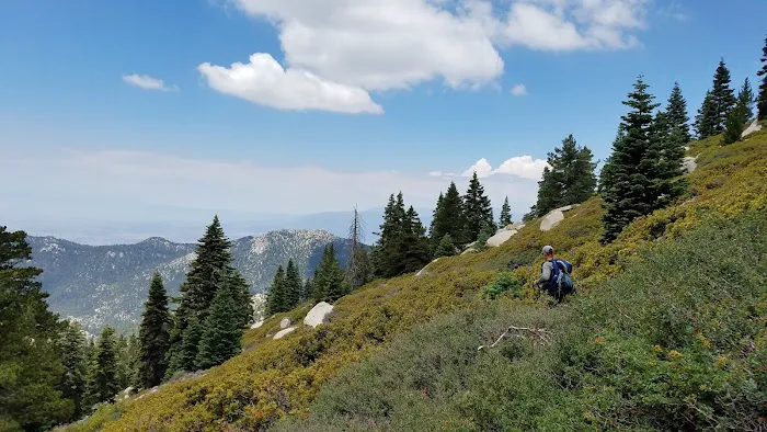 Marion Mountain Campground Picture 2