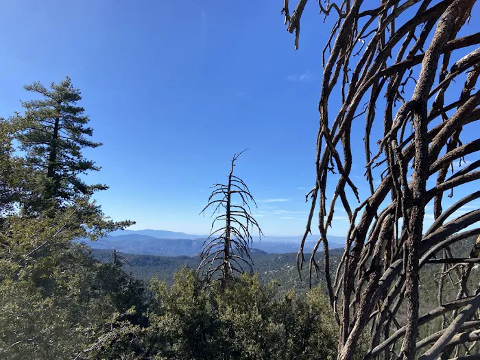 Marion Mountain Campground Picture 3