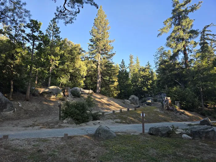 Marion Mountain Campground Picture 10