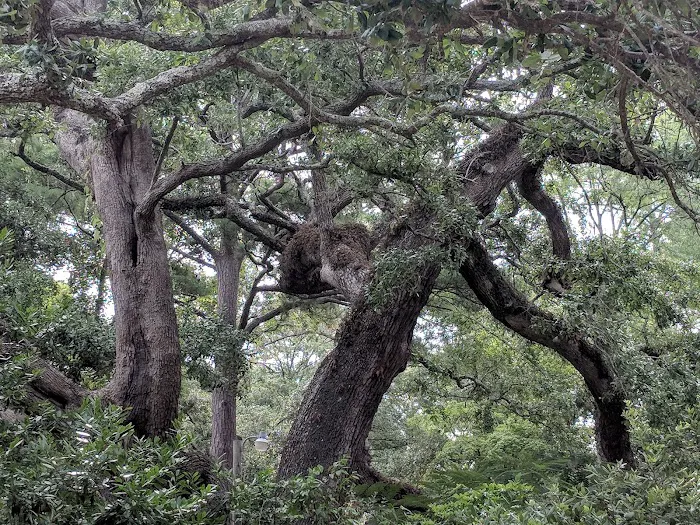 Waterford Oaks Picture 9