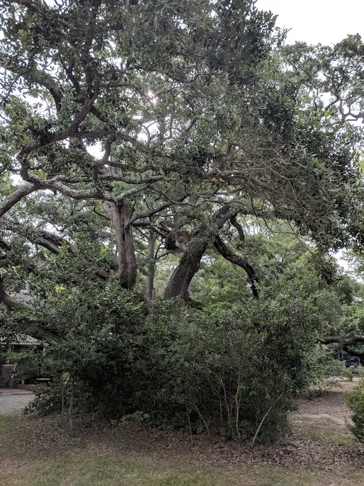 Waterford Oaks Picture 8
