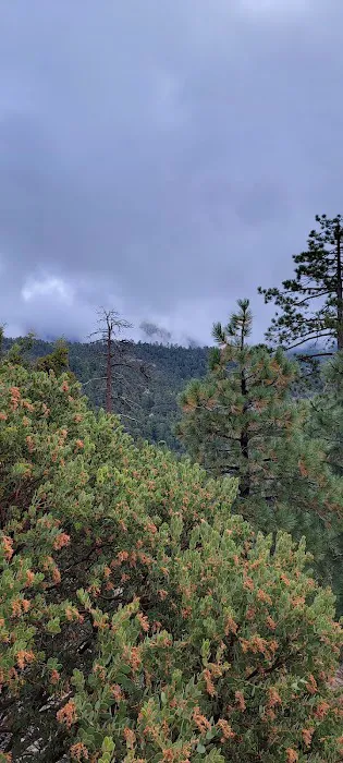 Idyllwild Camping Resort Cottage Picture 4