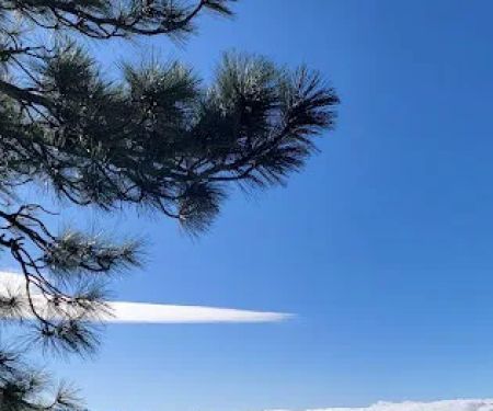 Idyllwild Camping Resort Cottage