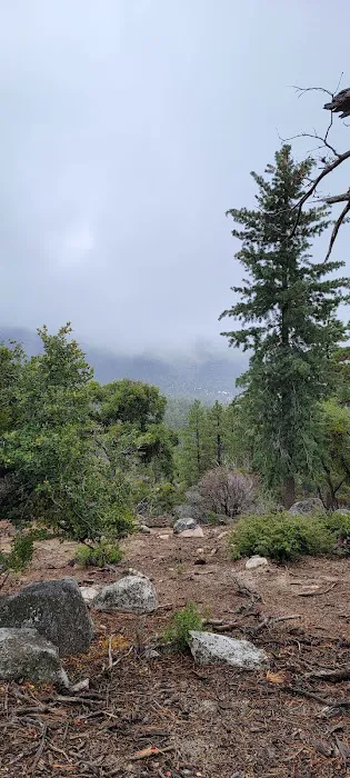 Idyllwild Camping Resort Cottage Picture 3