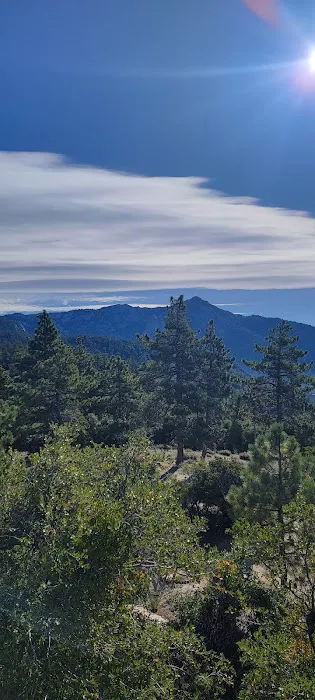 Idyllwild Camping Resort Cottage Picture 5