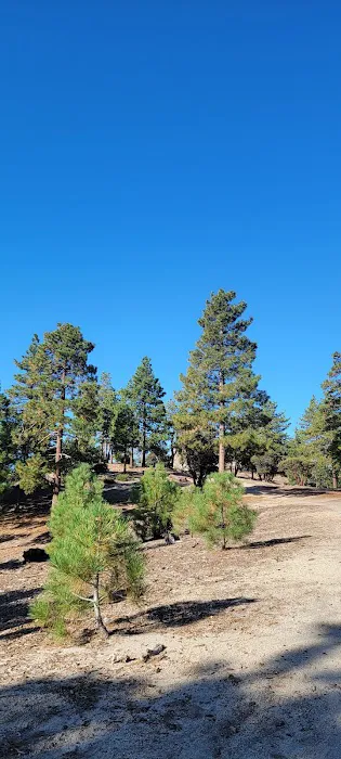 Idyllwild Camping Resort Cottage Picture 2