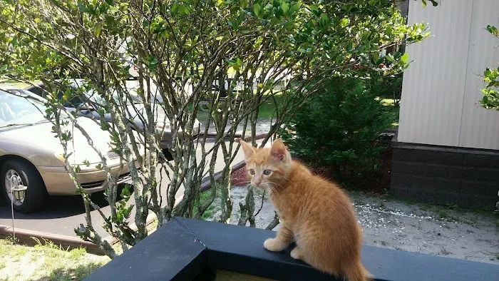 Windjammer Village Picture 6