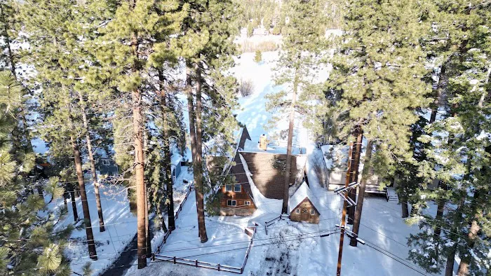 Big Bear Den Picture 5