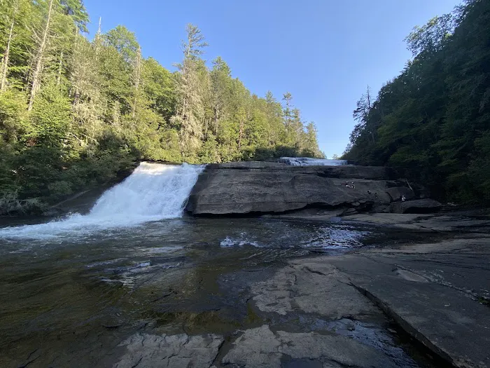 Fieldridge Acres Picture 8