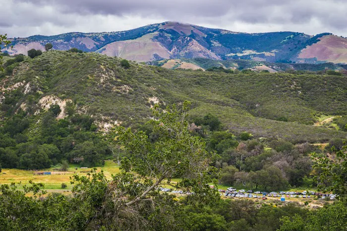 Live Oak Camp Picture 7