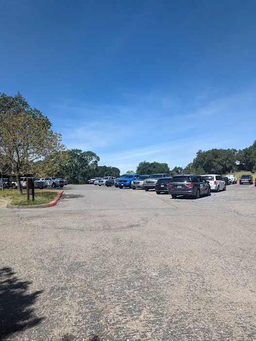 Cachuma Lake Campground Picture 4