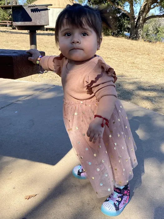 Sycamore Yurt Picture 7