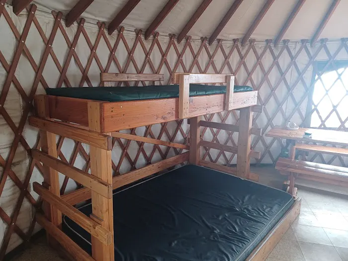 Sycamore Yurt Picture 5