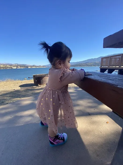 Sycamore Yurt Picture 6