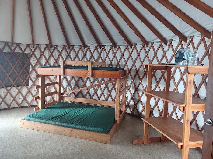 Sycamore Yurt Picture 3