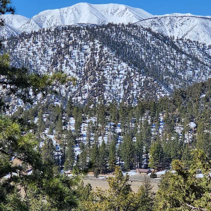 Big Bear cabin Picture 2