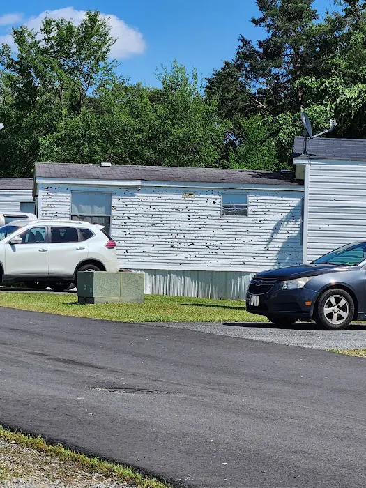 Adnah Hills Mobile Home Park Picture 10