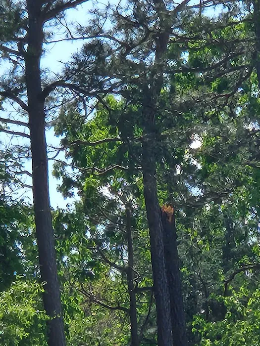 Adnah Hills Mobile Home Park Picture 8