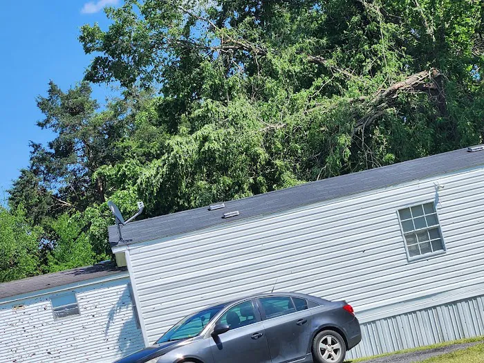 Adnah Hills Mobile Home Park Picture 9