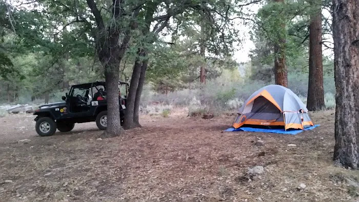 Green Spot Equestrian Group Picture 4