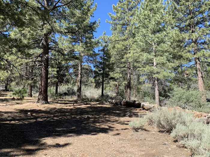 Green Spot Equestrian Group Picture 3