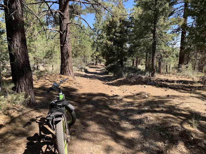 Green Spot Equestrian Group Picture 9