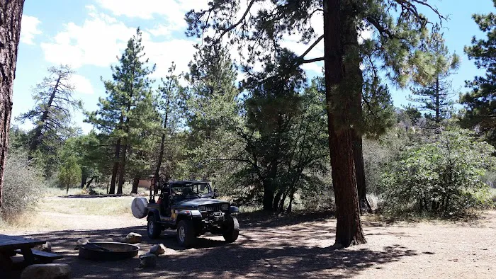 Green Spot Equestrian Group Picture 10