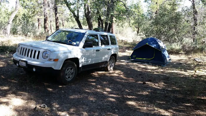 Green Spot Equestrian Group Picture 5