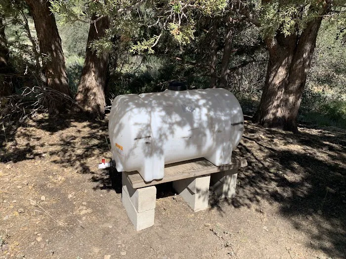 Green Spot Equestrian Group Picture 8