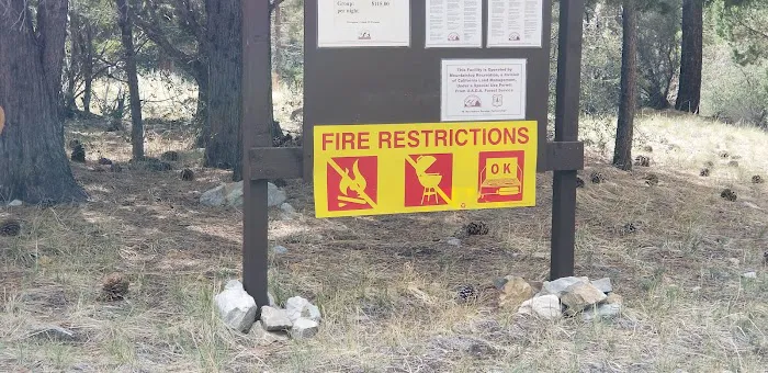 Green Spot Equestrian Group Picture 6