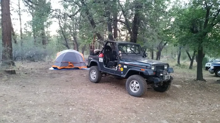 Green Spot Equestrian Group Picture 2