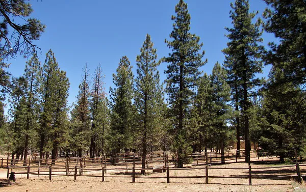 Sky Ranch in Big Bear Picture 1