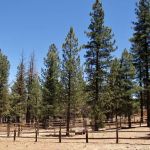 Sky Ranch in Big Bear