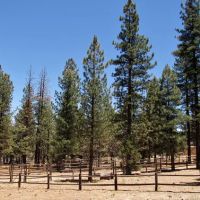 Sky Ranch in Big Bear ico