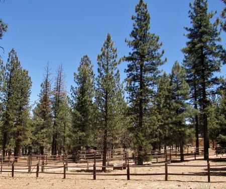 Sky Ranch in Big Bear