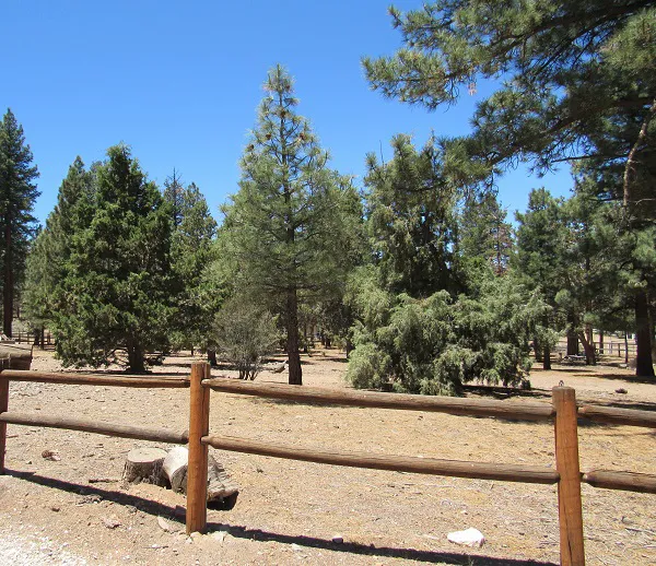 Sky Ranch in Big Bear Picture 2