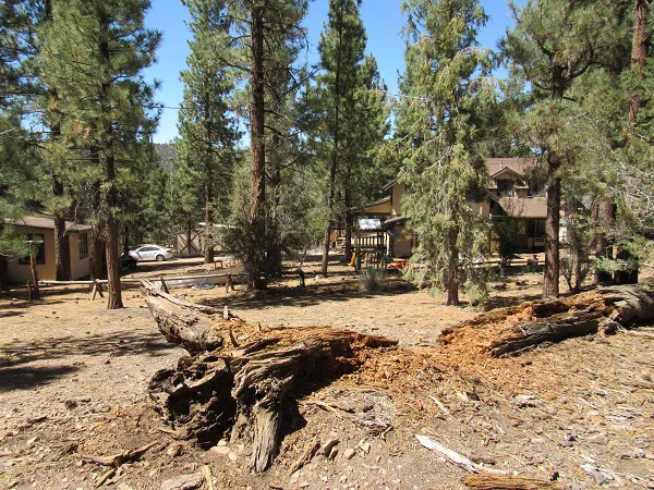 Sky Ranch in Big Bear Picture 5