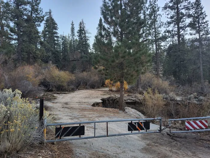 Coon Creek Snowmobile Route 1N02 (recgovnpsdata) Picture 3