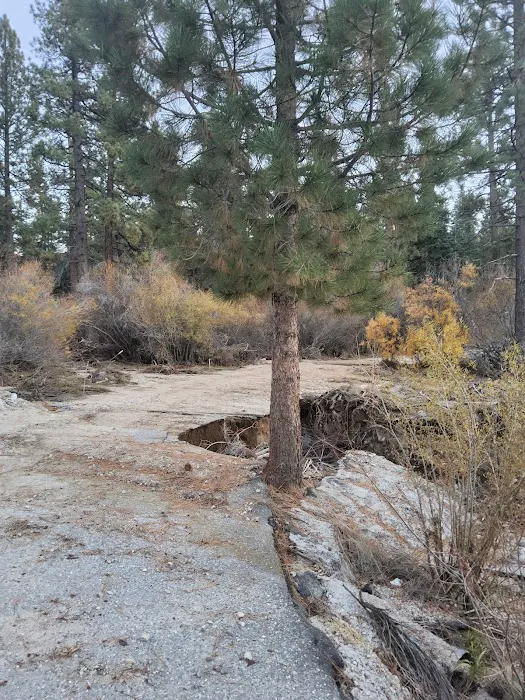 Coon Creek Snowmobile Route 1N02 (recgovnpsdata) Picture 7