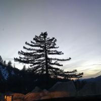 Coon Creek Snowmobile Route 1N02 (recgovnpsdata) ico