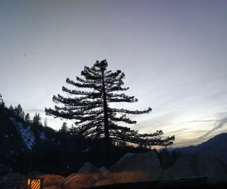 Coon Creek Snowmobile Route 1N02 (recgovnpsdata)